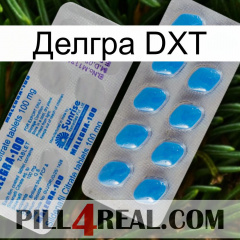 Делгра DXT new15